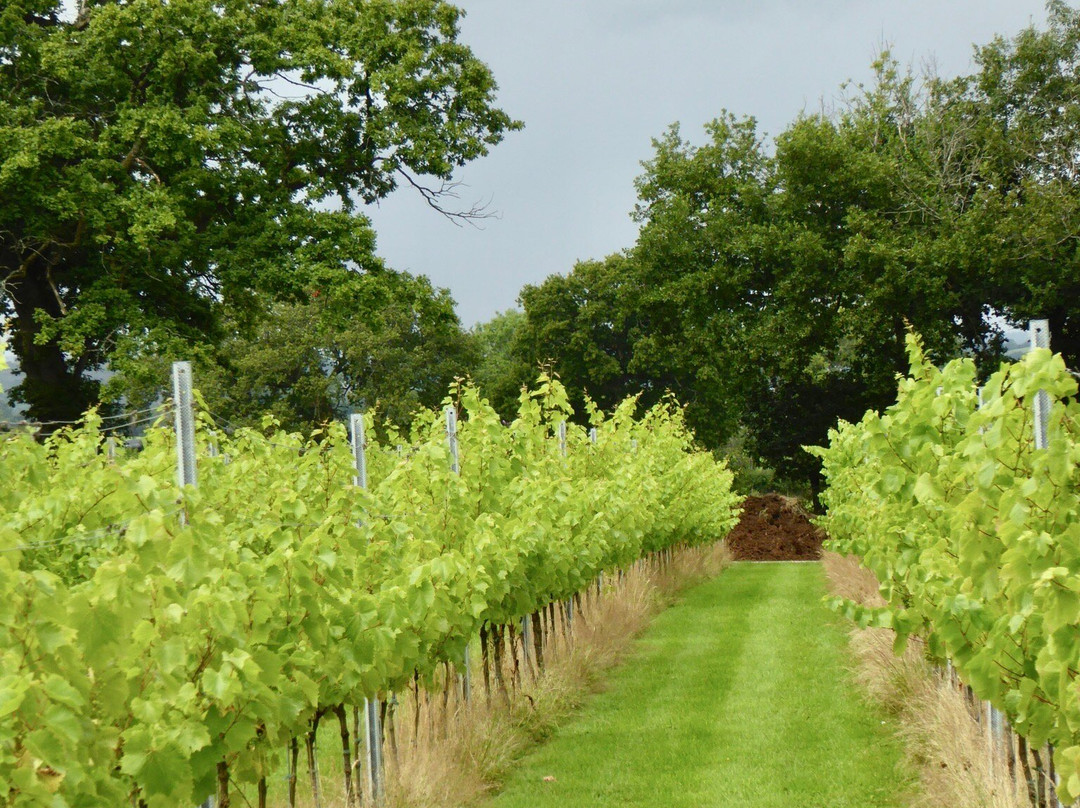The Tasting Lodge @ Llanerch Vineyard-Hensol必去景点