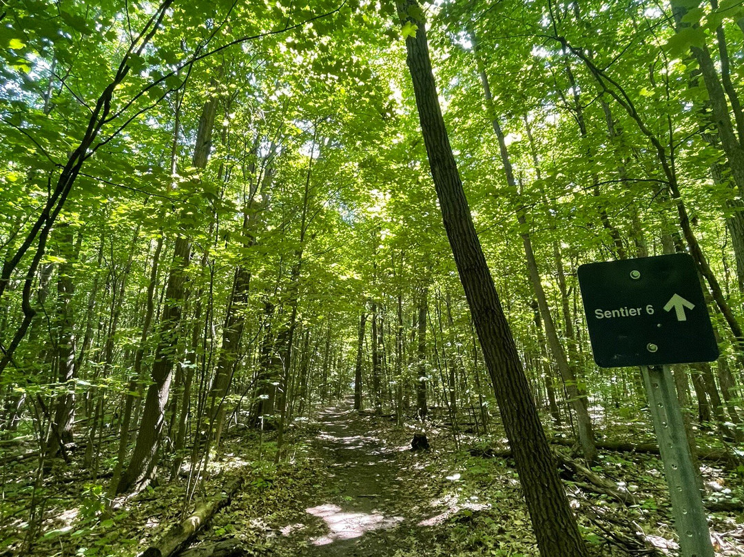 Centre écologique Fernand-Seguin-Chateauguay必去景点