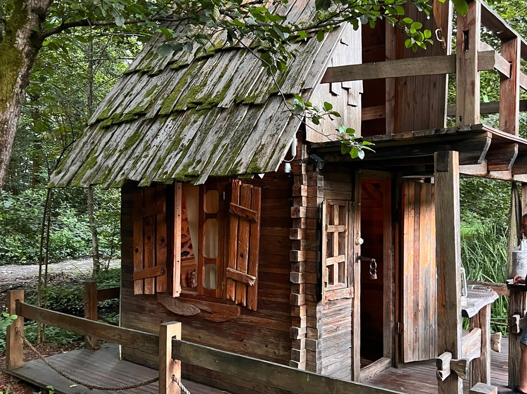 Musicians Park-Shekvetili必去景点