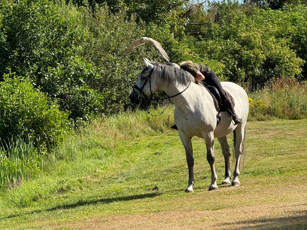 Eagle World-Bindslev必去景点