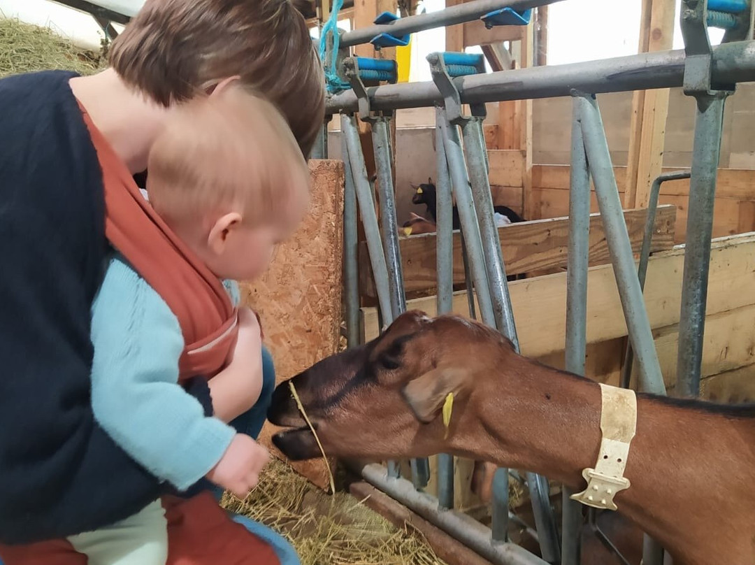 Chevrerie Au Coeur de Montjoie-圣热尔韦莱班必去景点