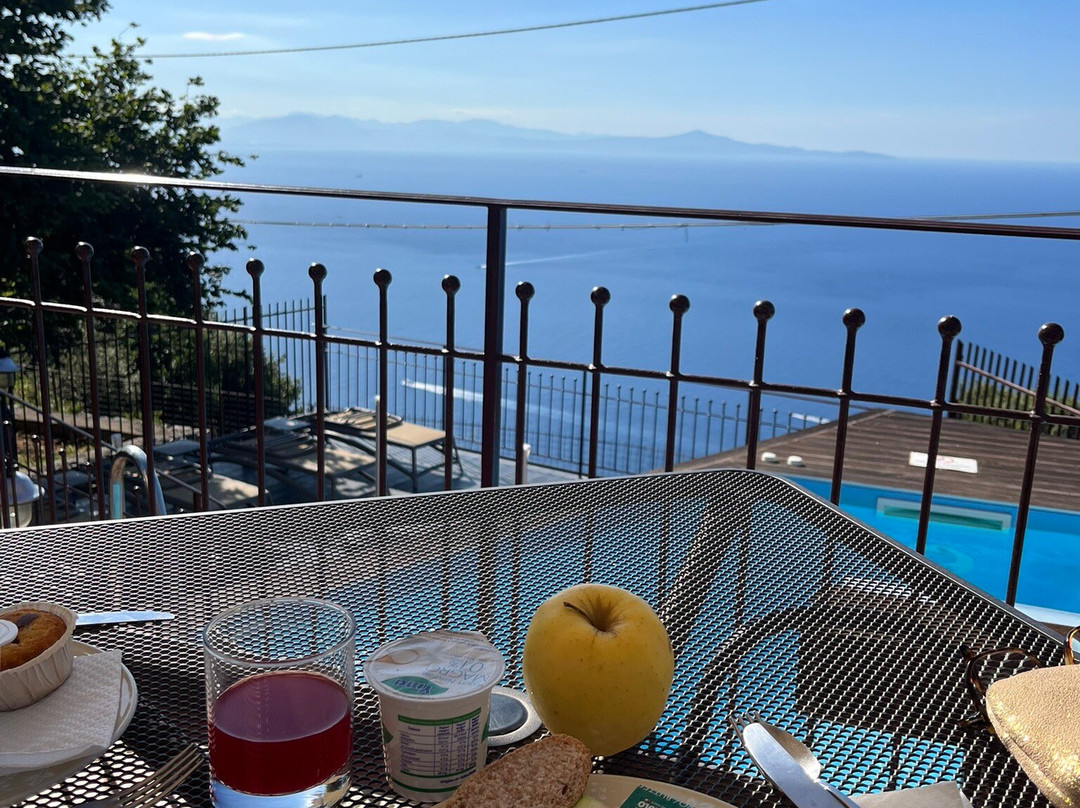 尼多德利雷酒店主图