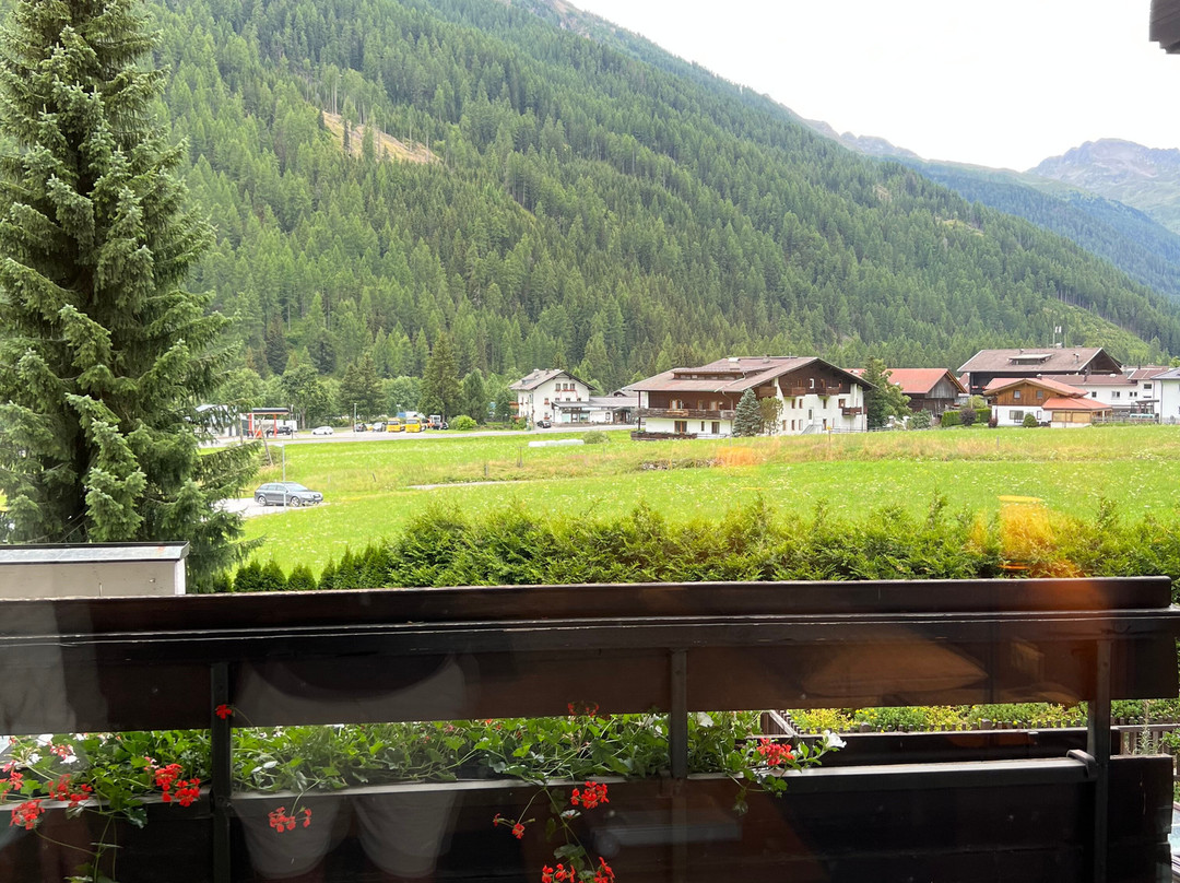 Hotel Alpenhof主图