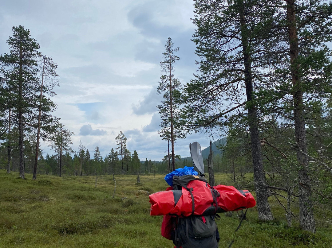 Experience Grövelsjön-Grovelsjon必去景点