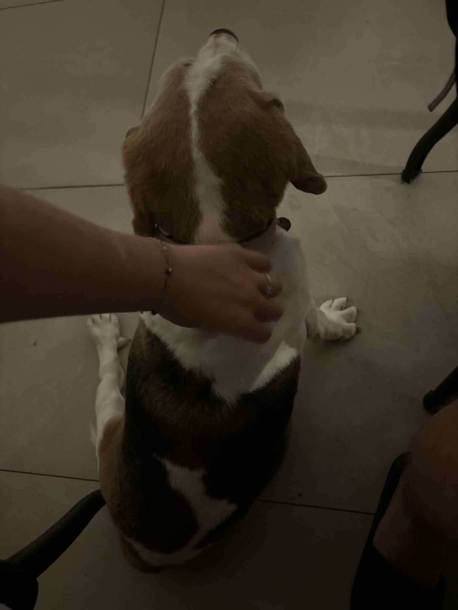 Matheo Hotel Villas & Suites-浴室