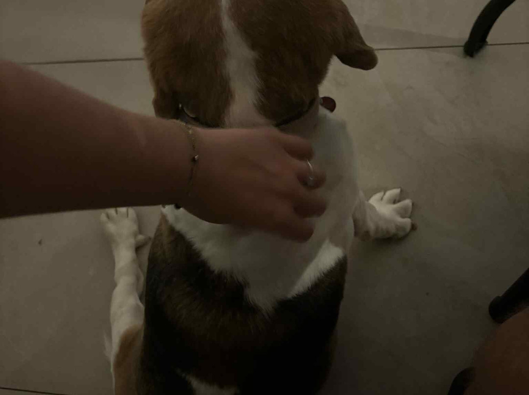 Matheo Hotel Villas & Suites主图