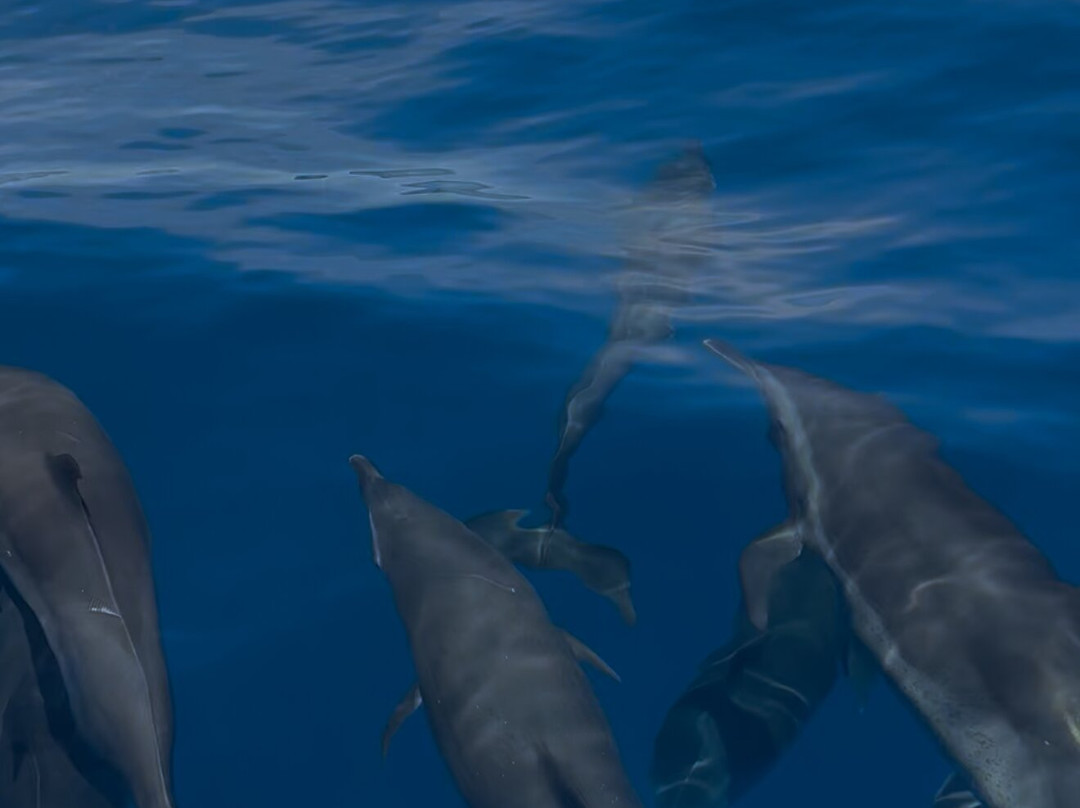 Primal Ocean-La Ventana必去景点