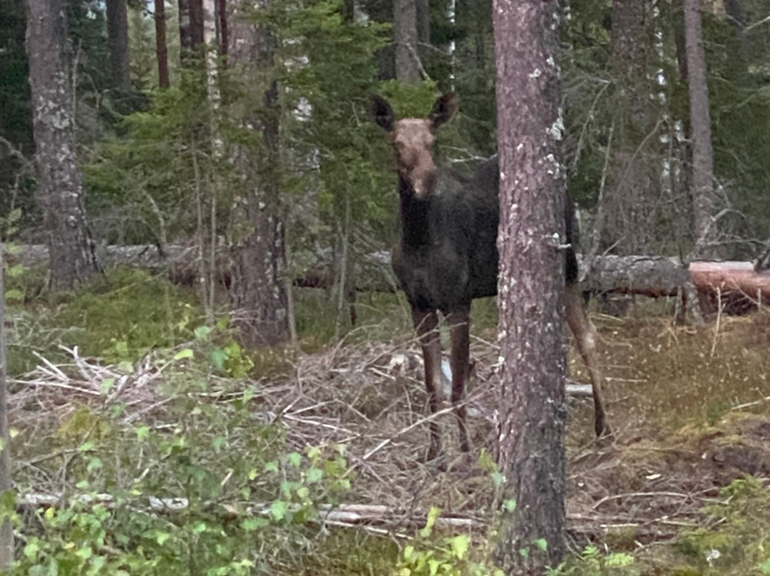 Nordic Discovery-Kloten必去景点