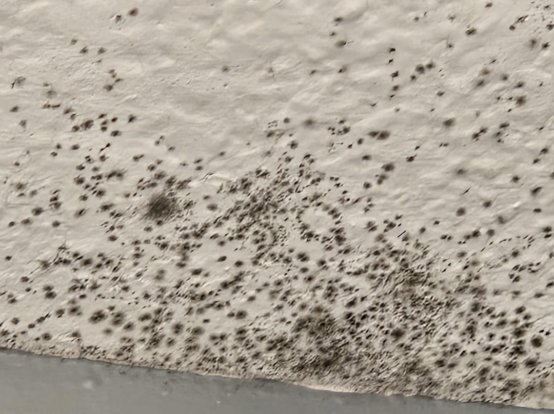 La Quinta Inn & Suites by Wyndham Chicago Gurnee主图