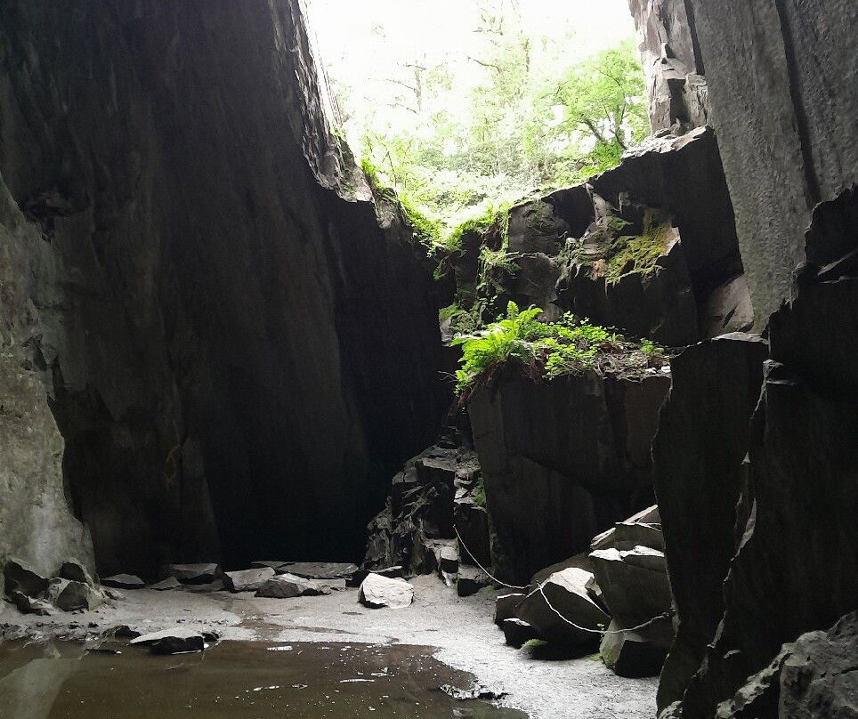 Cathedral Quarry (Cathedral Cave)-Little Langdale必去景点