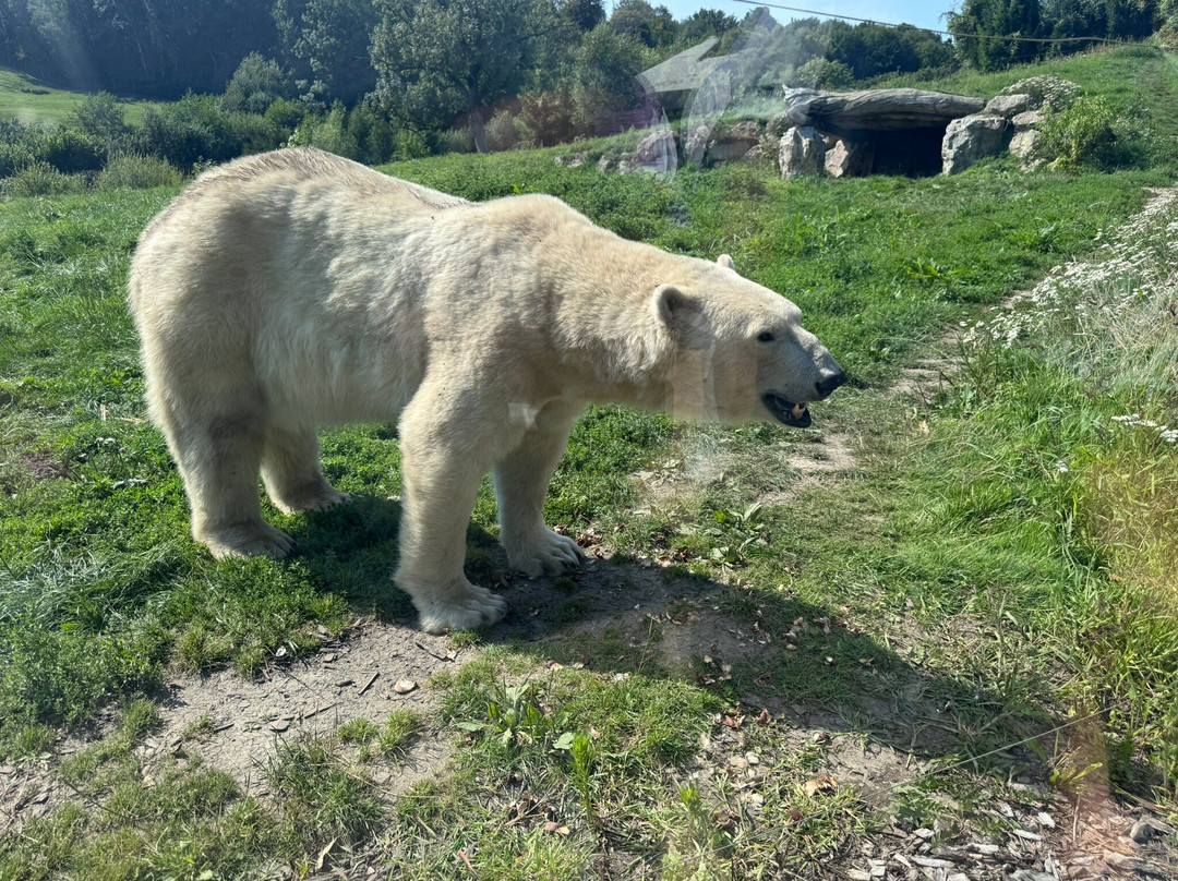 Zoo Cerza-Hermival-les-Vaux必去景点