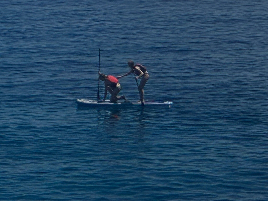 The Peligoni Club主图