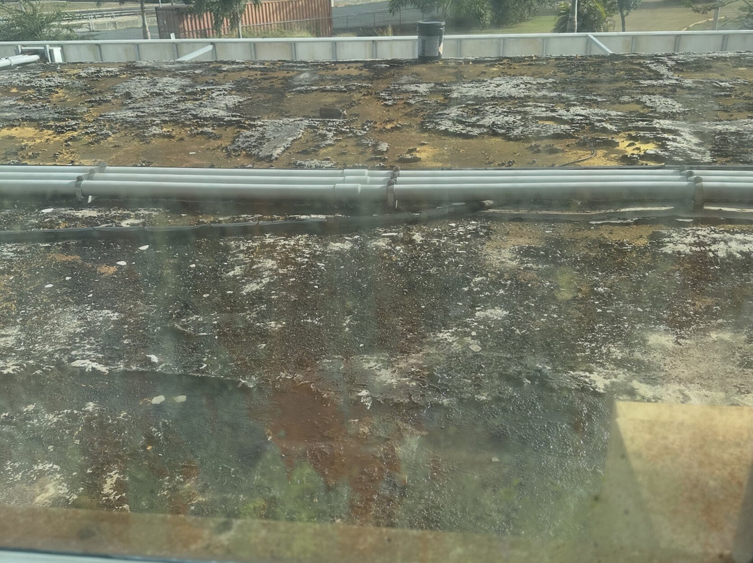 Punta Borinquen Resort主图