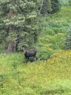 Grand Adventures-冬季公园必去景点