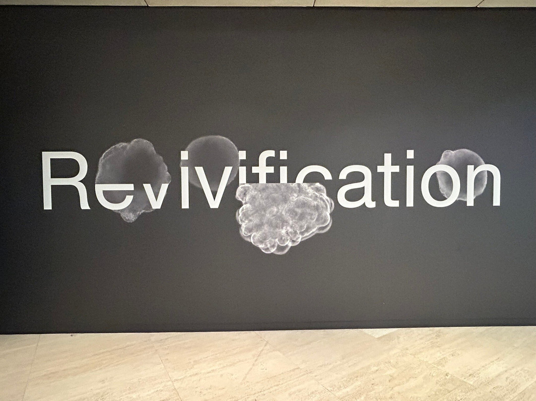 西澳美术馆-珀斯必去景点