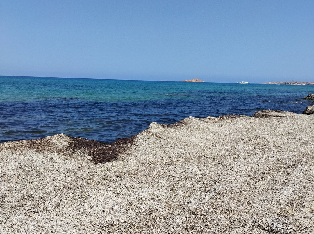 Spiaggia Li Feruli-Badesi必去景点