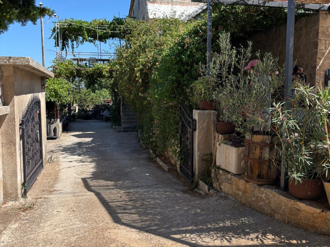 F&M Transfers-Kastel Kambelovac必去景点