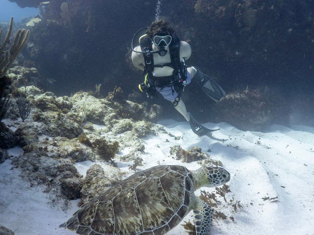 Valentine's Dive Center-哈勃岛必去景点