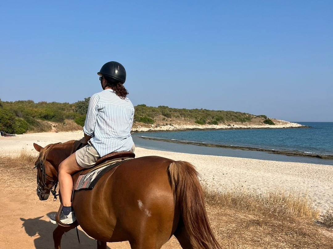North Corfu Horses-Peritheia必去景点