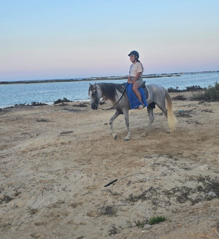 Ranch Yassmina Djerba La Douce-米栋必去景点