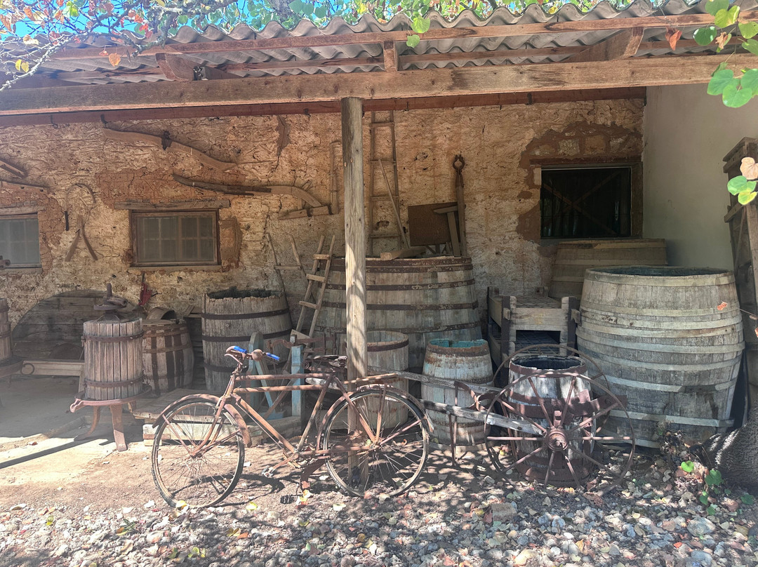Mercouri Estate-Pyrgos必去景点