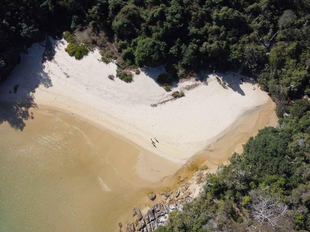 Collins Flat Beach-曼利议会必去景点