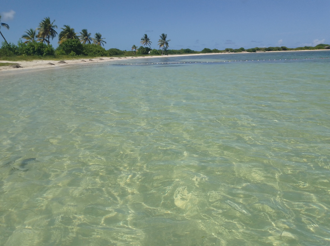 Le Galion Beach-Quartier D'Orleans必去景点