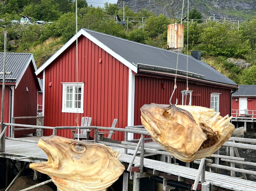 Nusfjord Fishing Village-Nusfjord必去景点