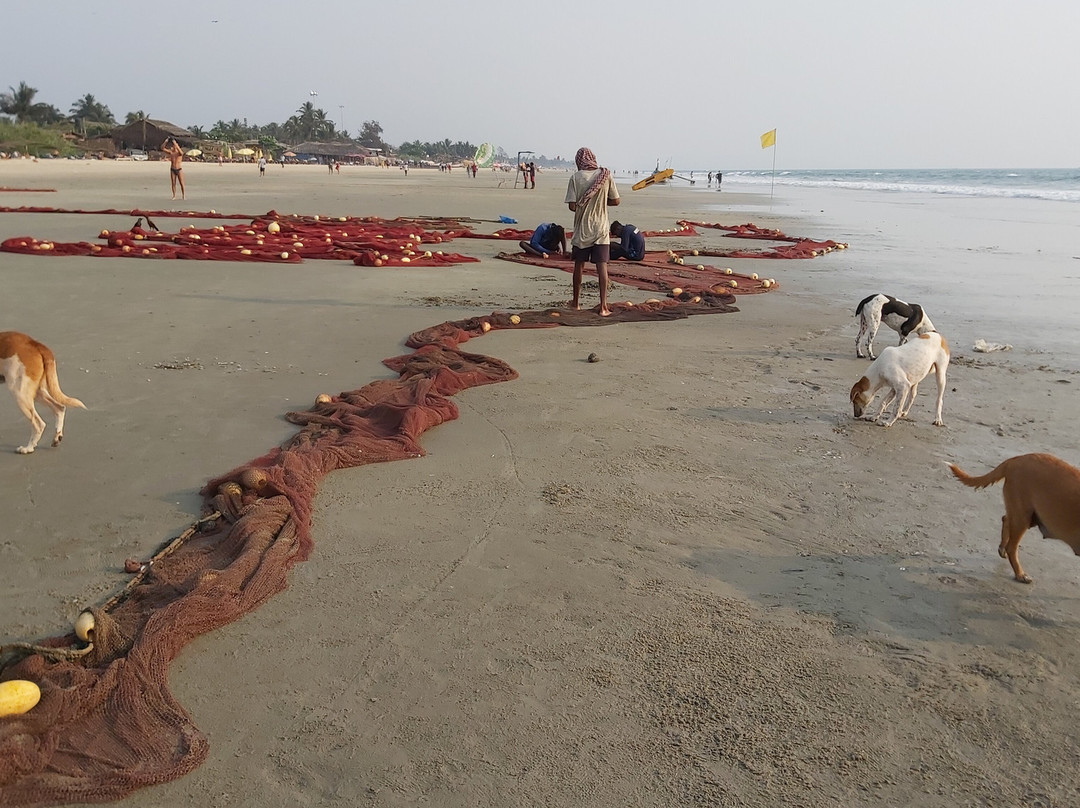Benaulim Beach-奔闹林必去景点