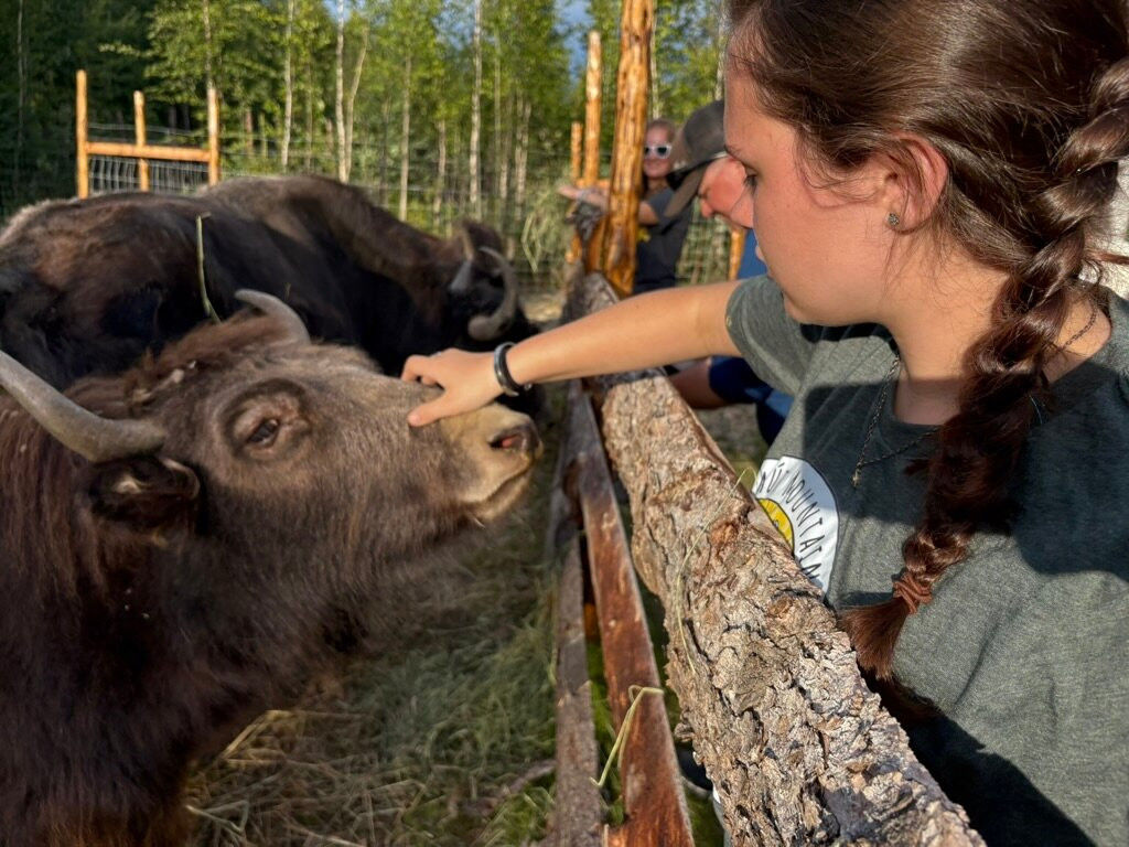 Mammut Mountain Yak Farm-Two Rivers必去景点