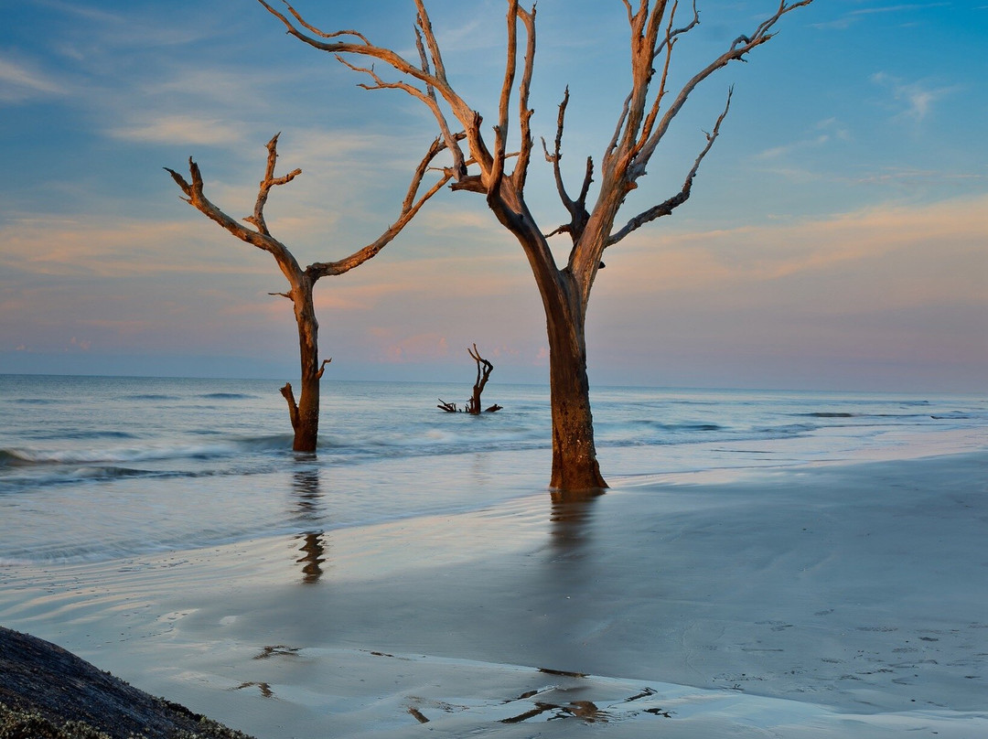 Bulls Island Ferry-Awendaw必去景点