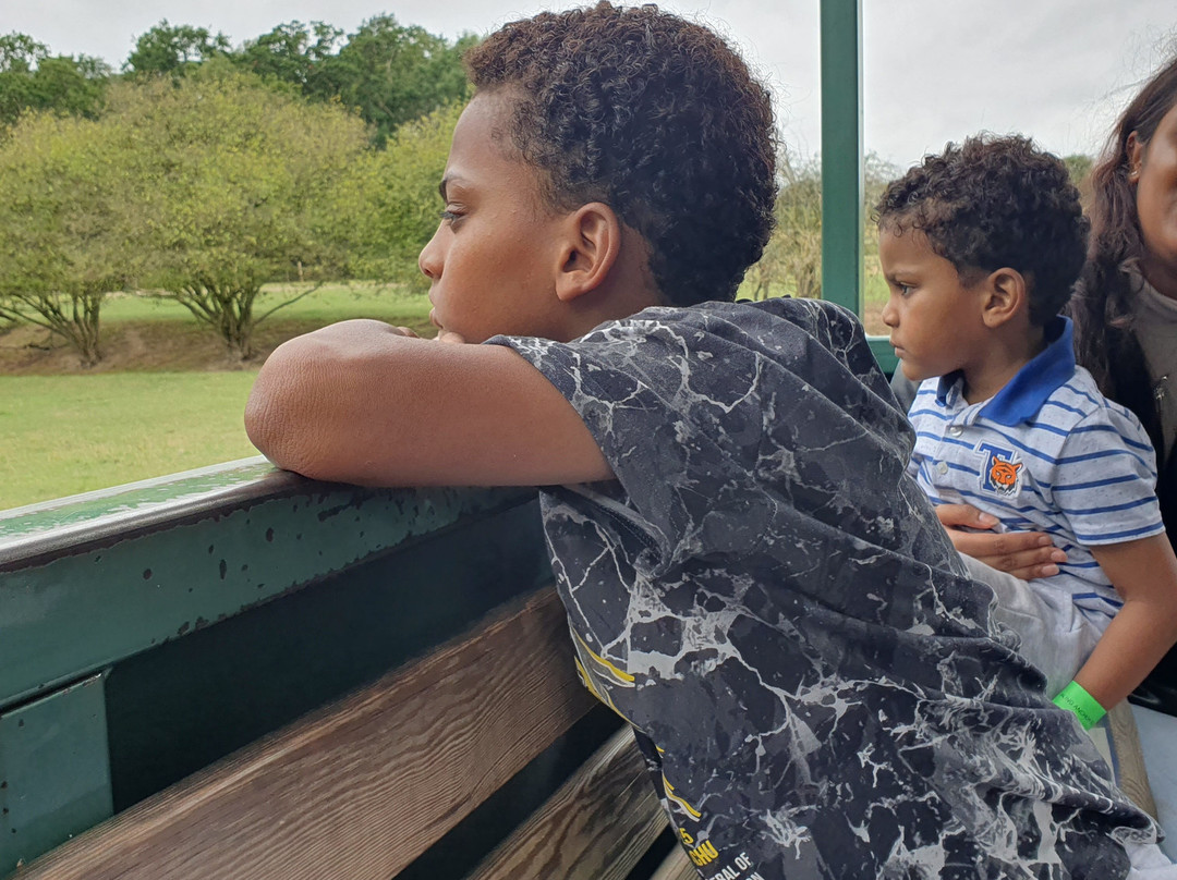 Willows Activity Farm-London Colney必去景点