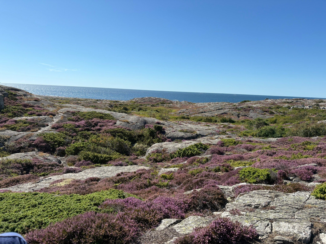 Roro naturreservat-Ockero必去景点