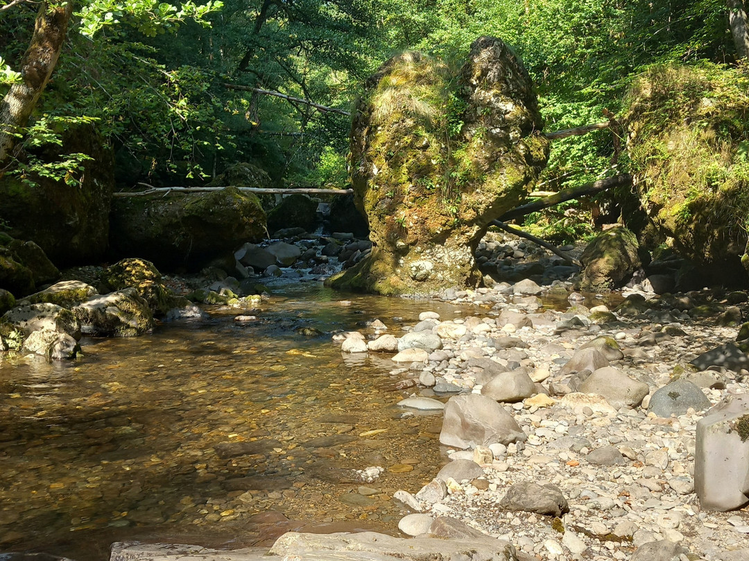 Pas de Cère-Vic-sur-Cere必去景点