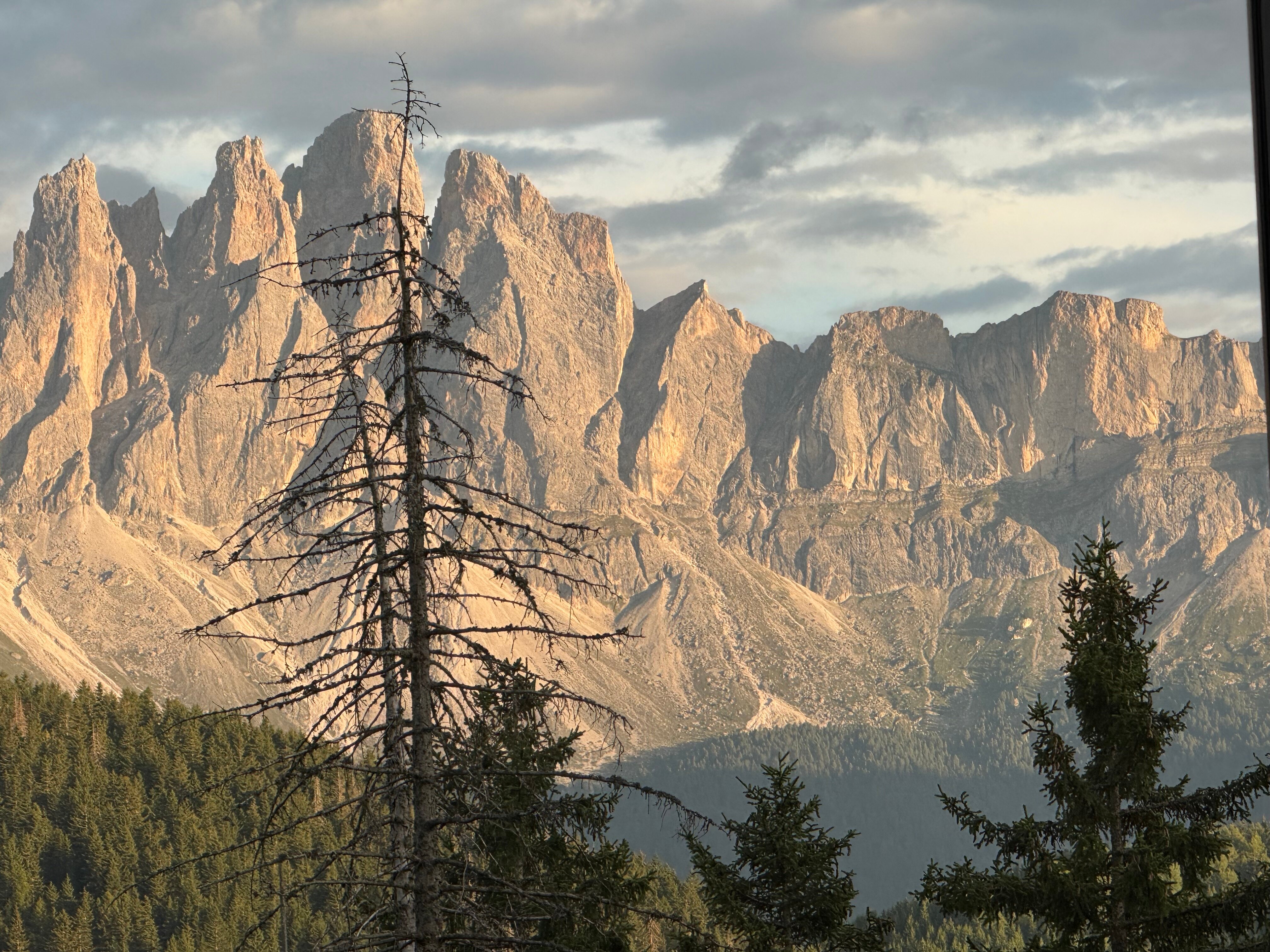 Forestis Dolomites-官方