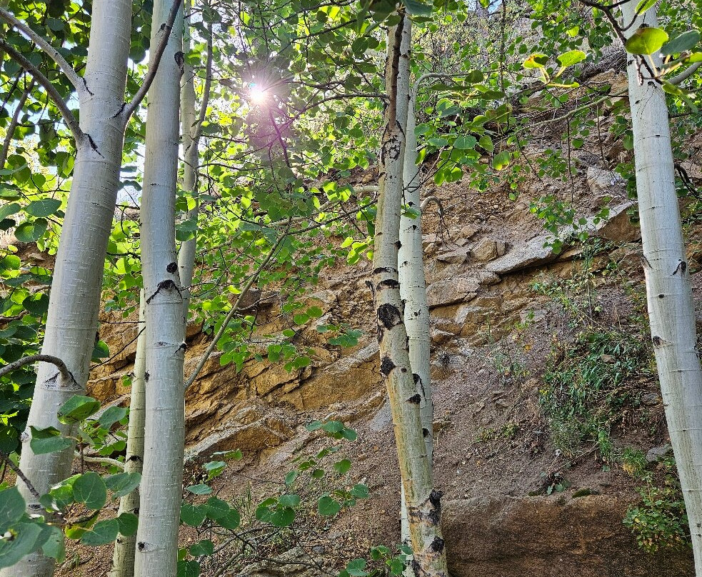 Mrs. Walsh's Garden-埃斯蒂斯公园必去景点