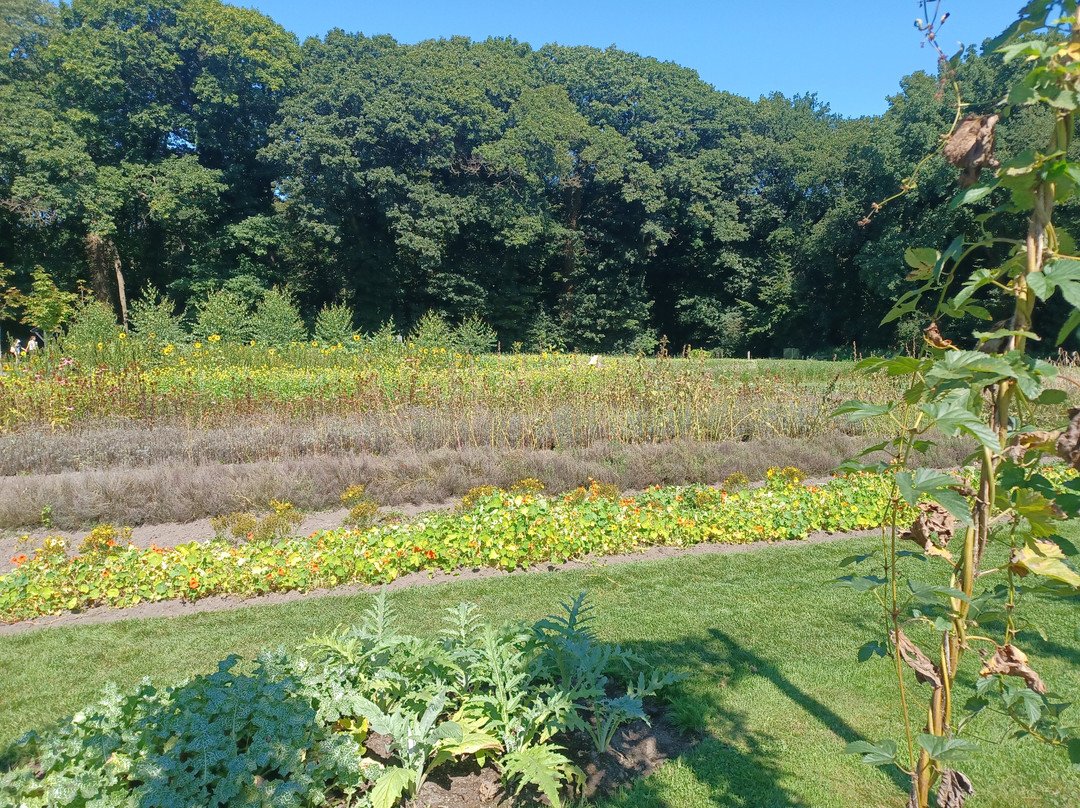 A.Vogel Tuinen-'t Harde必去景点