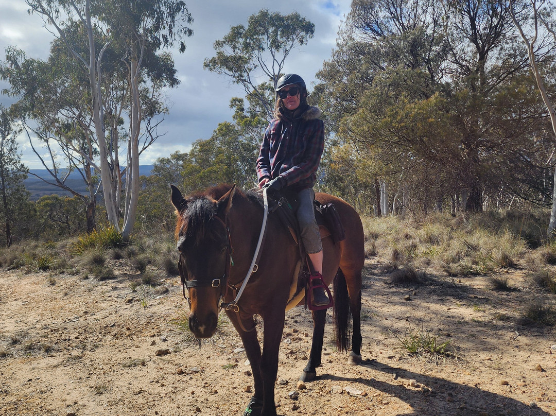 Burnelee Excursions on Horseback-穆任百特曼必去景点