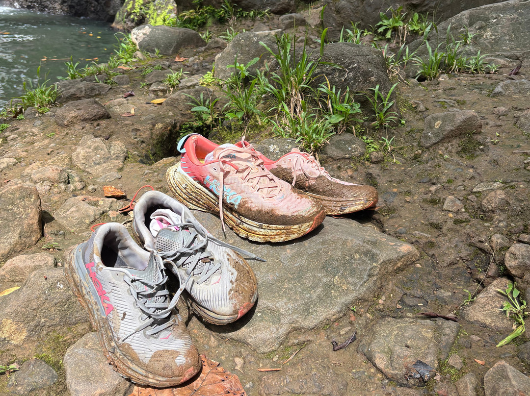 Saut de la Lézarde-Petit-Bourg必去景点
