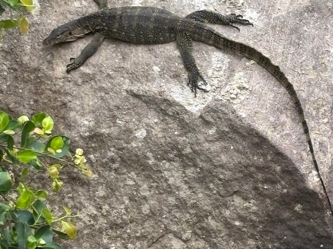 Eric's Greenhouse主图