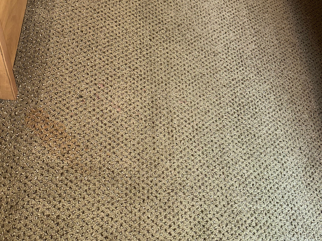 桑德贝戴斯套房酒店主图