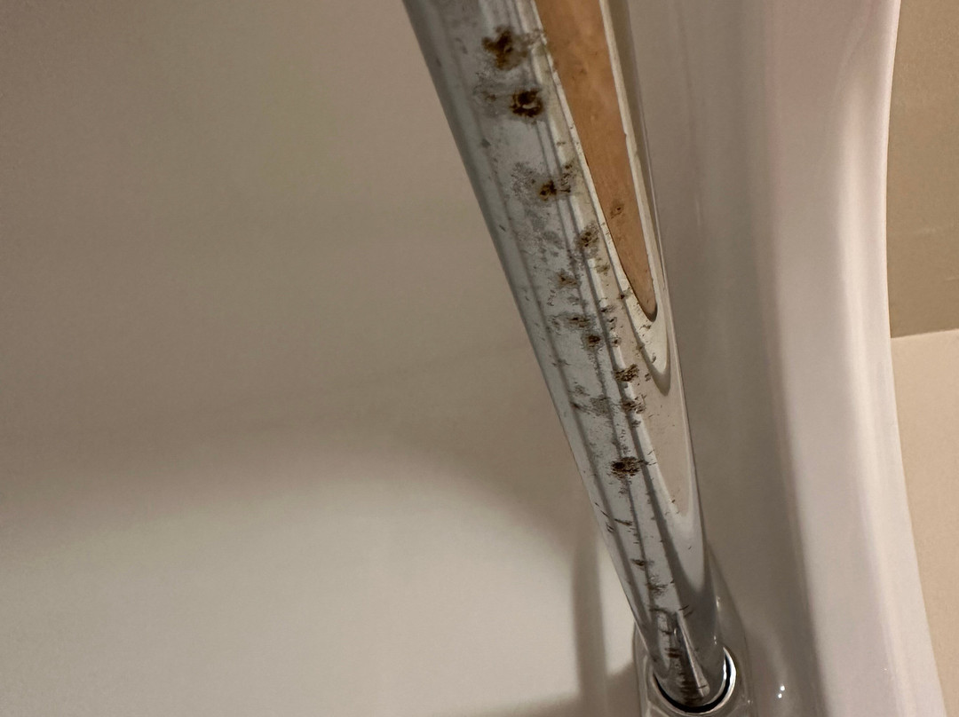 桑德贝戴斯套房酒店主图