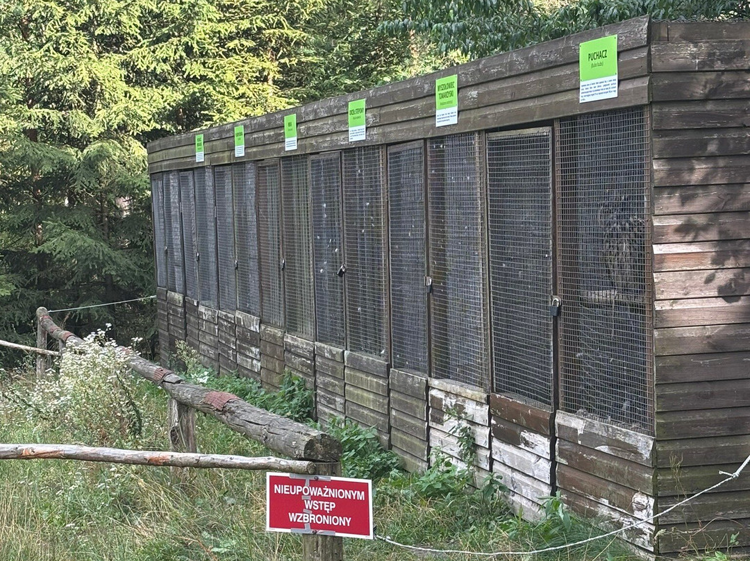 Museum of Podlaskie Region's Folk Culture-Wasilkow必去景点