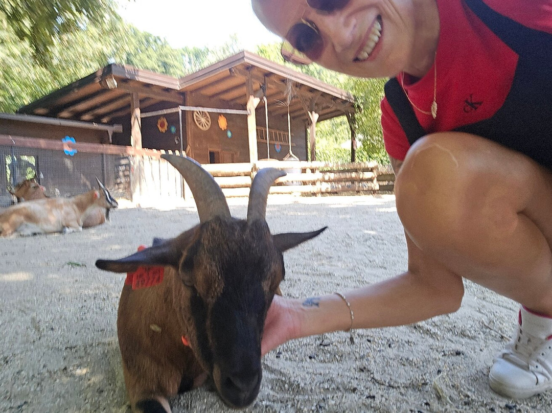 Zoo Zagreb-萨格勒布必去景点