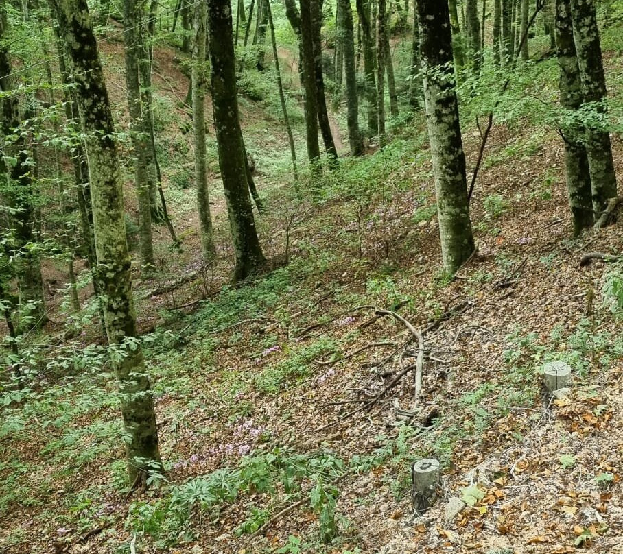 Chiusi Della Verna-Tuscania必去景点