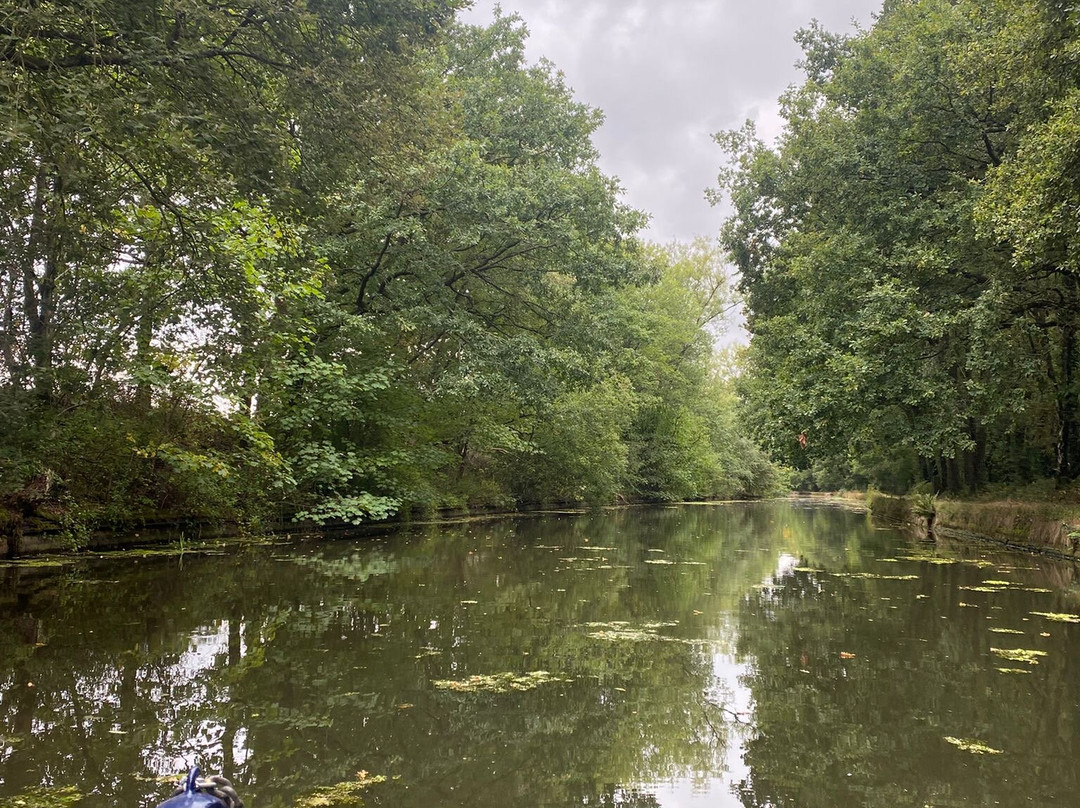 Ellerbeck Narrowboats-乔利必去景点
