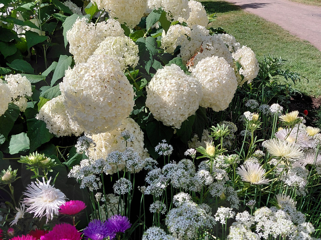 Jardins de Metis / Reford Gardens-Grand-Metis必去景点