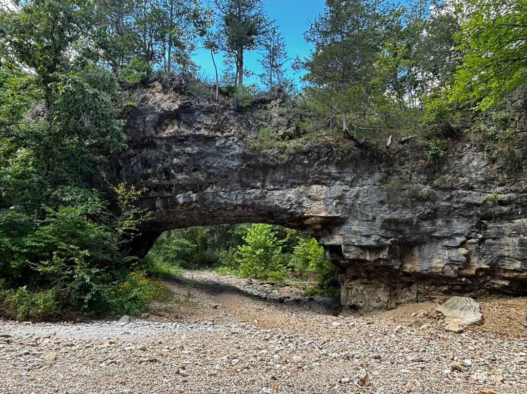 Clifty Creek Conservation Area-Dixon必去景点