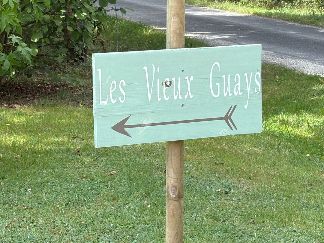 Les Vieux Guays主图