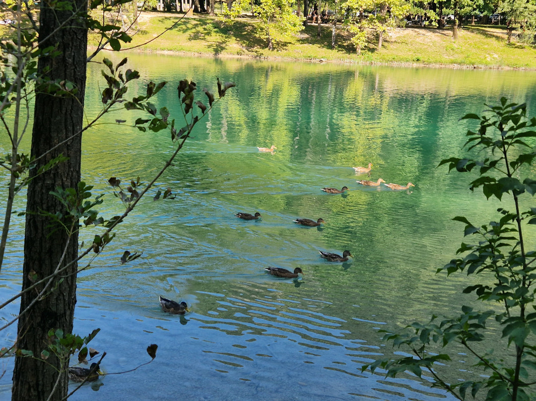 Lago Di Cavazzo-Cavazzo Carnico必去景点